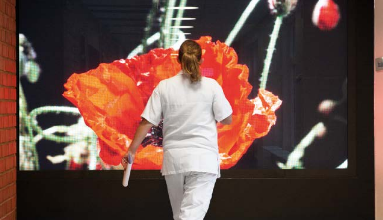 Medarbetare som går i korridor med konstverk på väggarna