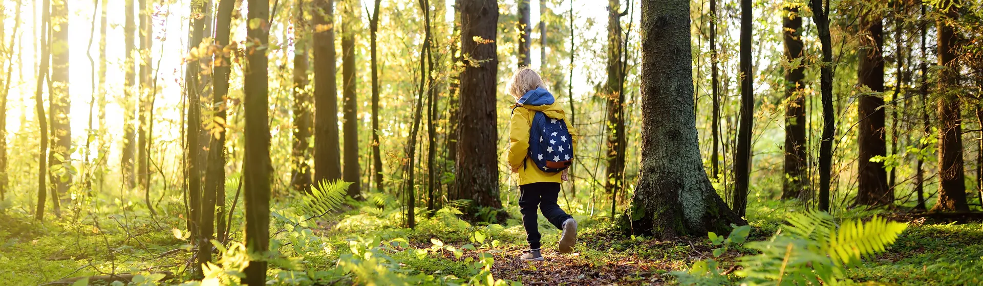 En person med ryggen till går på en stig i skogen.